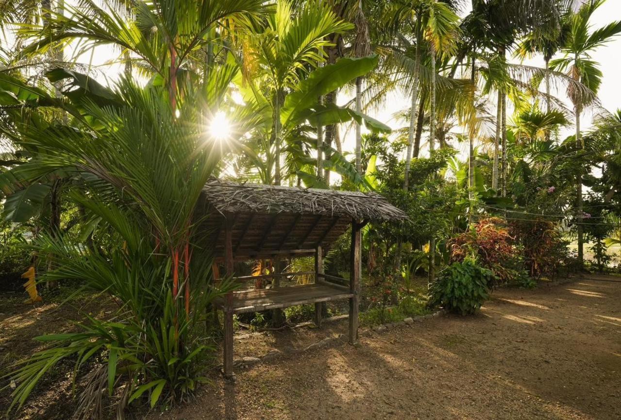 Cocozone Stays Alappuzha Dış mekan fotoğraf